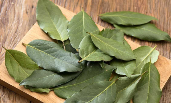 Не придется тратиться на освежители: хитрость в использовании лаврового листа в доме