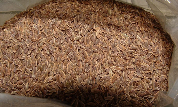 Возьмите всего ложку семян укропа — вы ахнете от богатства и удачи