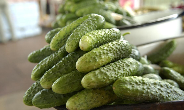 Хруст на весь дом: раскрыт рецепт идеальных соленых огурцов