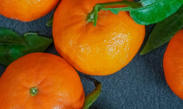 Врач призвала с осторожностью употреблять в пищу популярный сезонный фрукт